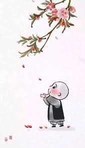 images (8)